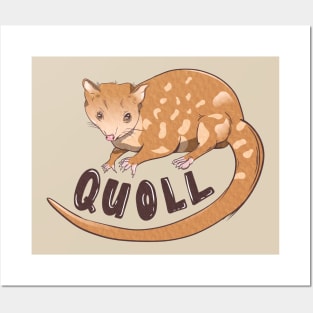 Quoll CUTE MARSUPIAL ANIMAL Posters and Art